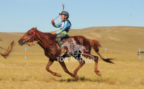 Говь-Алтай аймгийн Баян-Уул сумын уяач Гансүхийн зээрд