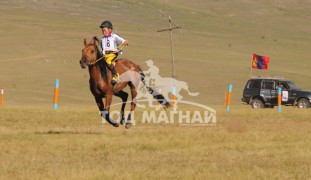 Төв аймгийн Лүн сумын уугуул, МУ-ын Манлай уяач Б.Билэгдэмбэрэлийн хул