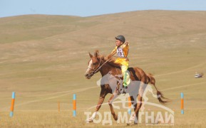 Түмэнбаярын хээр