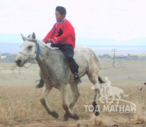 Аймгийн Алдарт уяач Г.Сүхбаатар: Хонгор морио түрүүлгэж, нутгийнхаа нүүрийг тахалж явлаа