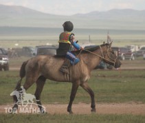 Хэнтий аймгийн 90 жилийн ой, зүүн бүсийн даншгийн хурдан шүдлэнгүүд