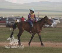 Хэнтий аймгийн 90 жилийн ой, зүүн бүсийн даншгийн хурдан шүдлэнгүүд