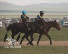 Хэнтий аймгийн 90 жилийн ой, зүүн бүсийн даншгийн хурдан шүдлэнгүүд