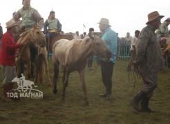 Хэнтий аймгийн 90 жилийн ой, зүүн бүсийн даншгийн хурдан шүдлэнгүүд