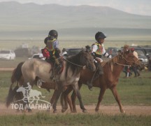 Хэнтий аймгийн 90 жилийн ой, зүүн бүсийн даншгийн хурдан шүдлэнгүүд