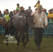 Хэнтий аймгийн 90 жилийн ой, зүүн бүсийн даншгийн хурдан шүдлэнгүүд