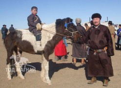 Аймгийн Алдарт уяач С.Амарсанаа: Ахынхаа голсон ааштай соёолонг авч моринд орж байлаа