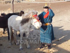 Аймгийн Алдарт уяач О.Мөнхбат: “Манай нутагт маргаашийн наадмыг харсан юм шиг хэлдэг мундагчууд олон байлаа”