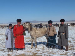 “Тулга-Алтай” компанийн захирал, Аймгийн Алдарт уяач Л.Батжаргал:”Алдарт цолоо хоёр айргаар мялаасан баруун бүсийн даншиг наадам хамгийн дурсамжтай нь”