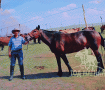 Ц.Содбаяр: “Өнөөдрийн өөхнөөс маргаашийн уушги” гэж алс хэтээ харсан ажил хийхийн төлөө л зүтгэж байна