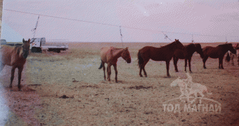 Ц.Содбаяр: “Өнөөдрийн өөхнөөс маргаашийн уушги” гэж алс хэтээ харсан ажил хийхийн төлөө л зүтгэж байна