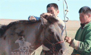 Ц.Содбаяр: “Өнөөдрийн өөхнөөс маргаашийн уушги” гэж алс хэтээ харсан ажил хийхийн төлөө л зүтгэж байна