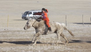 9. Төв аймгийн Баянжаргалан сумын МУМУ Г.Баттөмөрийн бор