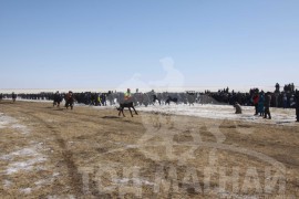 Дорнод аймгийн морин спорт уяачдын холбооны 15 жилийн ойд түрүүлж айрагдсан хурдан хүлгүүд