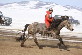 Т.Болдбаатарын халиун