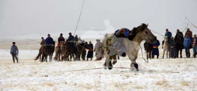 Дорнодын уяачид “Адуучин” нэвтрүүлгээр өрсөлдөв