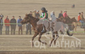 МУ-ын Алдарт уяач Д.Баяраагийн зээрд