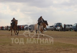 Золзаяагийн халтар