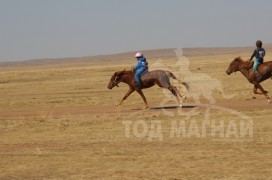 “Жавхлант шаргын хурд-2014” уралдааны хурдан шүдлэнгүүд