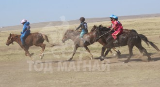 “Жавхлант шаргын хурд-2014” уралдааны хурдан шүдлэнгүүд