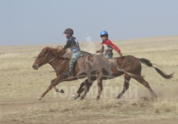 “Жавхлант шаргын хурд-2014” уралдааны хурдан шүдлэнгүүд