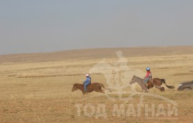 “Жавхлант шаргын хурд-2014” уралдааны хурдан шүдлэнгүүд