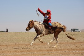 Аймгийн Алдарт уяач Ч.Алтансүхийн алаг 