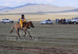 Аймгийн Алдарт уяач В.Наранхүүгийн хонгор 