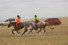 С.Ганхуягийн бор түрүүлж, Т.Галбадрахын ногоон айрагдлаа