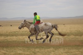 С.Ганхуягийн бор түрүүлж, Т.Галбадрахын ногоон айрагдлаа