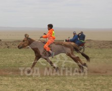 С.Ганхуягийн бор түрүүлж, Т.Галбадрахын ногоон айрагдлаа