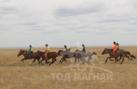 С.Ганхуягийн бор түрүүлж, Т.Галбадрахын ногоон айрагдлаа