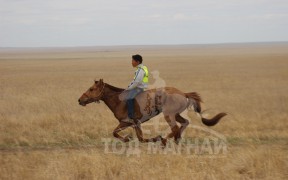 С.Ганхуягийн бор түрүүлж, Т.Галбадрахын ногоон айрагдлаа