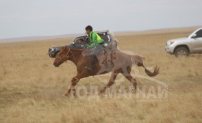 Манлайн хүү одтой наадав