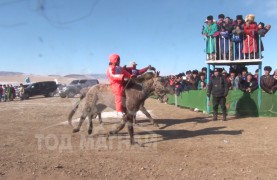 Батаагийн бор