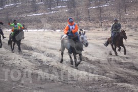 Гачууртын уяачдын холбоо таван нас хүрлээ