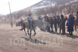 Гачууртын уяачдын холбоо таван нас хүрлээ