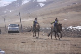 Гачууртын уяачдын холбоо таван нас хүрлээ