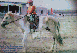 Аймгийн Алдарт уяач С.Шаравдорж: Шарга морь надад хамгийн олон айраг авч өгсөн