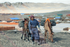 “Морьтон Монгол” төслийн гишүүн Ц.Даваахүү: Наадамд барилдахаар бэлтгэл базааж, уралдахаар морьдоо хөнгөрүүлж байгаа
