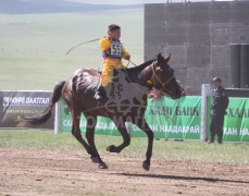 Аймгийн Алдарт уяач Пүрэвийн Батсайханы Ембүү хээр