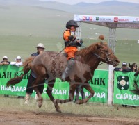 Алдартын аргамаг хонгор