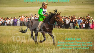 Д.Ариуннарангийн Ноён хээр