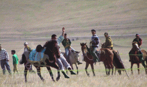 Монголын уяачид өөрсдийн өдөртэй, өргөх тангарагтай боллоо