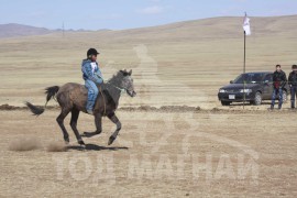 Аман хүзүүнд хурдалсан Ариунсайханы бор шүдлэн