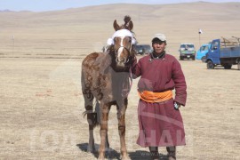 Айргийн гуравт хурдалсан Алтанхуягийн хүрэн шүдлэн