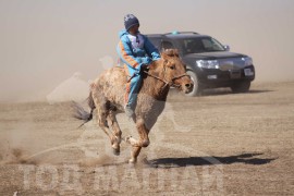 Аман хүзүүнд хурдалсан Энхтайваны хонгор