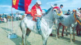 Айргийн гуравт хурдалсан аймгийн Алдарт уяач Ж.Хүрэлбаатарын шувуун бор морь