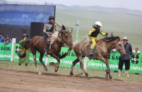 Аймгийн Алдарт уяач Д.Сугарын хул