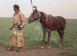 Аймгийн Алдарт уяач Д.Доржготов: Наранхүүгийн Монгол хээр, Бат-Эрдэнийн хүрэн морь манай адууны угшилтай